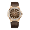 carnival-8108g