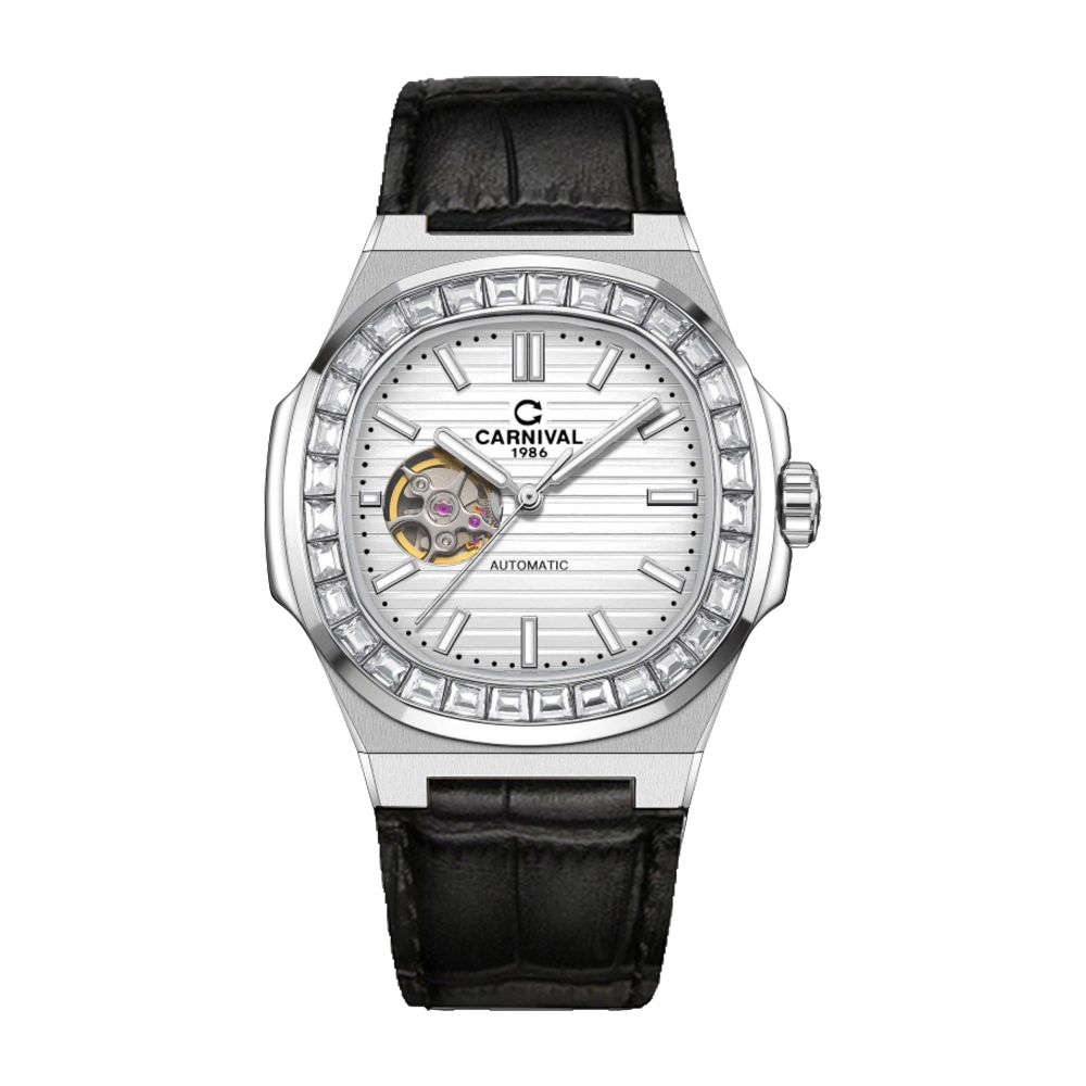 Carnival 8128G-VT-DD-T 1 CARNIVAL-8128G-VT-DD-T