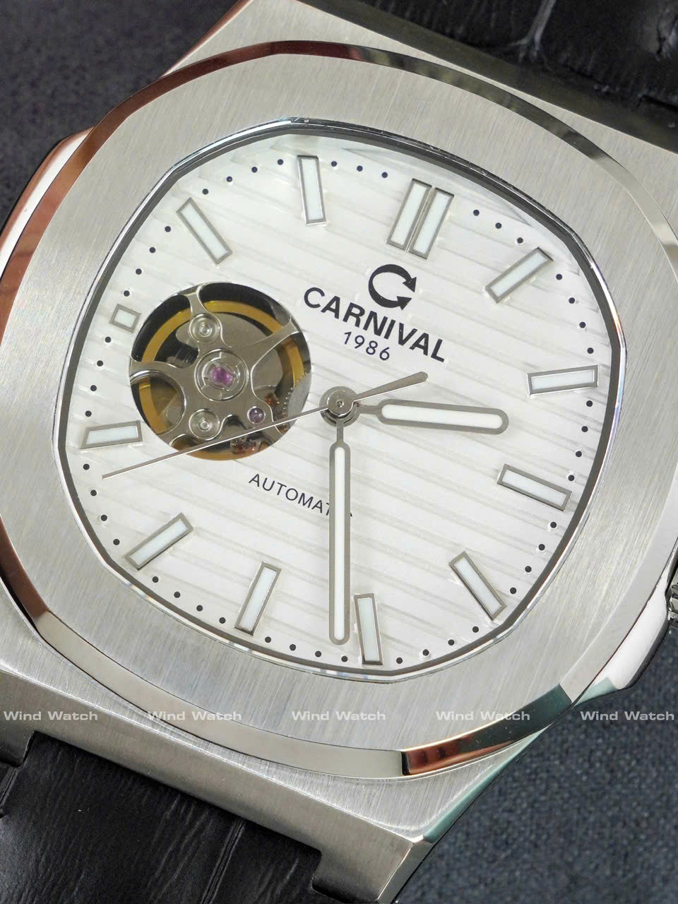 CARNIVAL 8128G1-VT-DD-T 6 CARNIVAL 8128G1-VT-DD-T