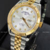 Carnival 8131G-CV-T 11 Carnival 8131G-CV-T