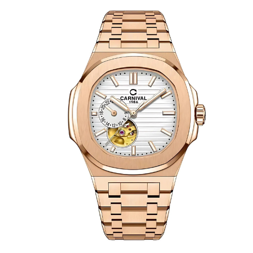 CARNIVAL 8159G-VH-T 1 Đồng hồ Nam Carnival 8159G-VH-T
