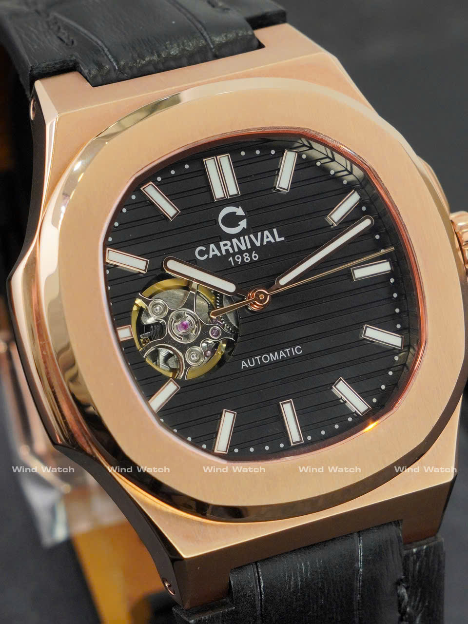 CARNIVAL 8128G1-VH-DD-D 19 CARNIVAL 8128G1-VH-DD-D