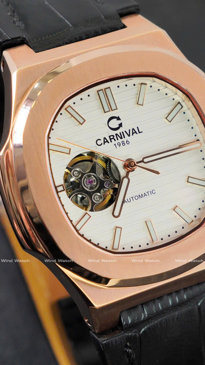 CARNIVAL 8128G1-VH-DD-T 8 CARNIVAL 8128G1-VH-DD-T