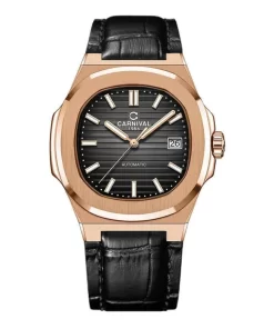 Đồng hồ nam Carnival 8108G1-VH-DD-D