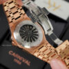 CARNIVAL 8160G-VH-D 14 8160G