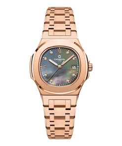 CARNIVAL 8160L-VH-DK (XÀ CỪ ĐEN)