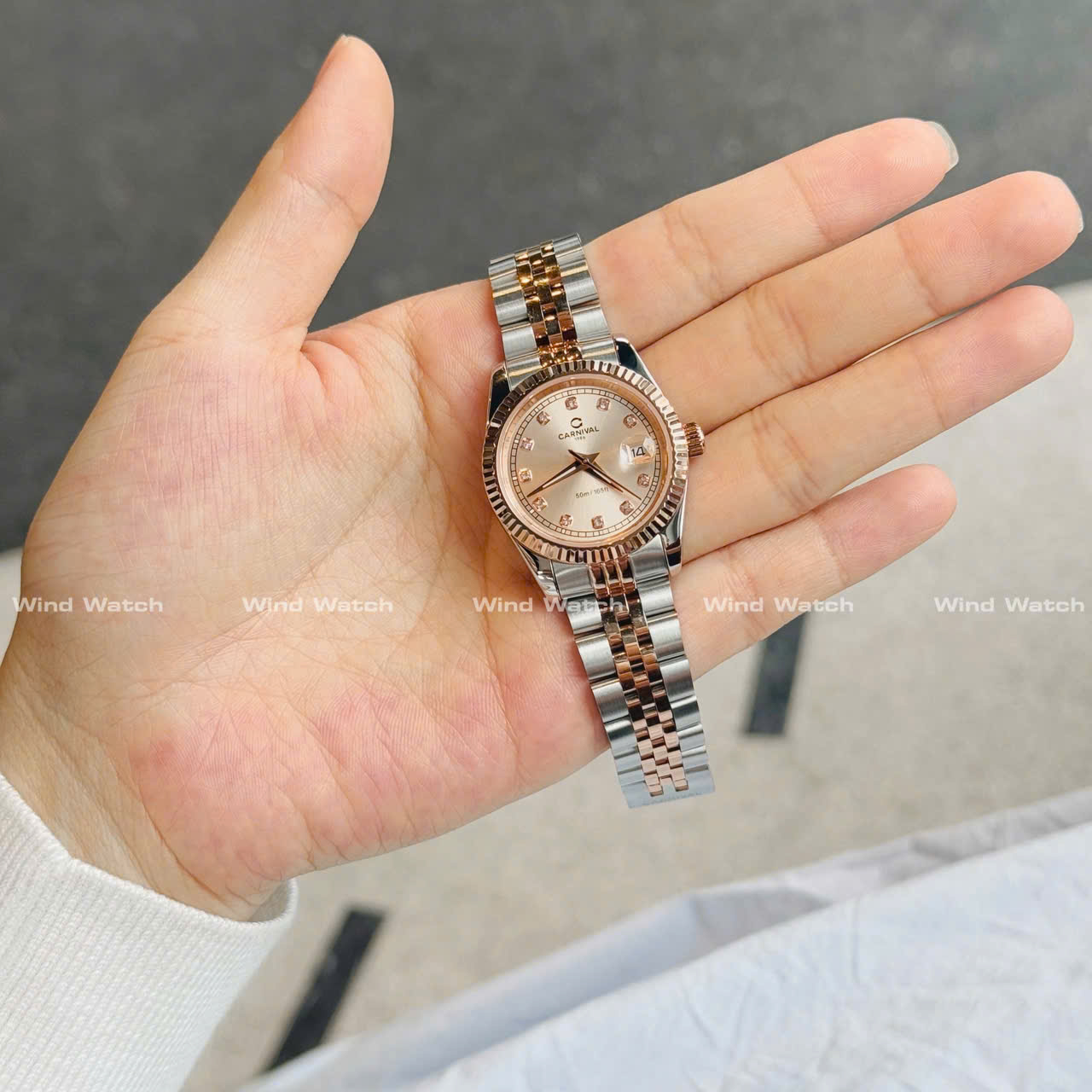 CARNIVAL 8131L-CH-NN 3 CARNIVAL 8131L-CH-NN - Ảnh 3