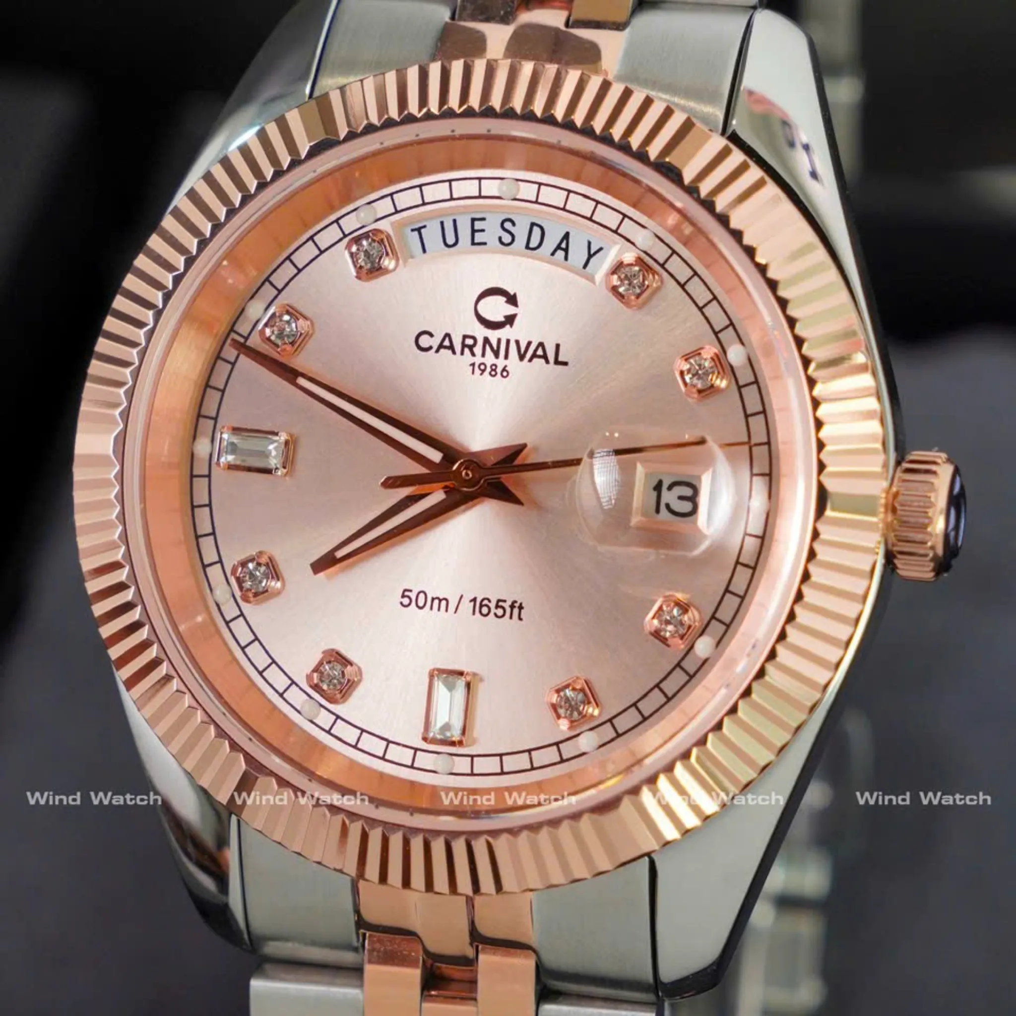 CARNIVAL 8190G-CH-NN 17 Carnival 8190G-CH-NN